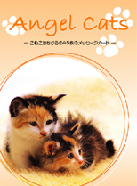 Angel Cats�i�G���W�F���E�L���b�g�j