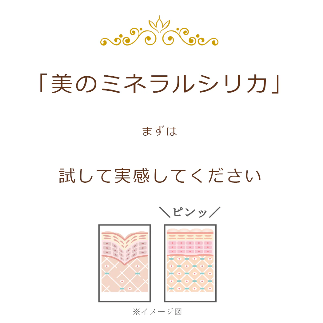 シリカセラム100