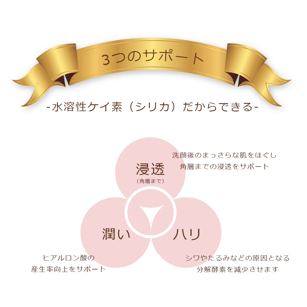 シリカセラム100